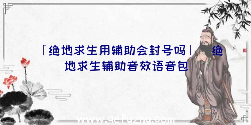 「绝地求生用辅助会封号吗」|绝地求生辅助音效语音包